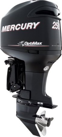 Mercury 250 PRO XS L Optimax фото